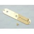 TL style guitar control plate, gold, 34.2 x 160 mm
