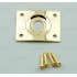 Guitar curved square jack plate HJ005, gold with screws