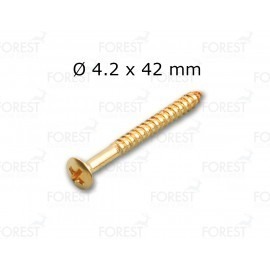 Neck joint screw 4.2 x 42 mm oval head gold, unit