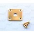 Gibson aftermarket square flat jack plate, HJ015, Gold with screws