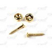 Guitar strap pins pair, gold finish HE007